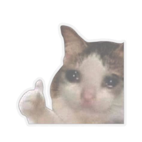 Crying Cat Thumbs up Meme Laptop Waterbottle MacBook Pro Guitar Case ...