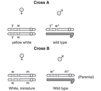 Study the figures given below and answer the question - CBSE Class 12 ...