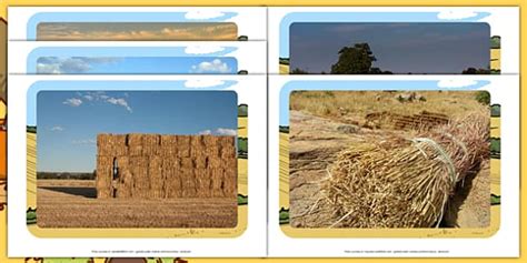 Harvest Hay Bale Display Photos (teacher made) - Twinkl