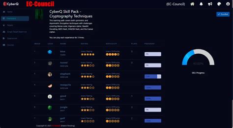 SQL Injection Training 的图像结果