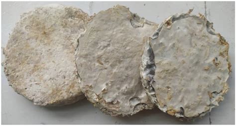 Material Removal in Mycelium-Bonded Composites Through Laser Processing