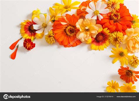 Top 999+ orange flowers images – Amazing Collection orange flowers ...