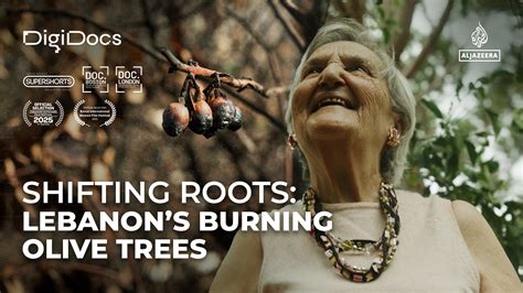 Shifting Roots: A Lebanese woman’s fight to save her olive trees