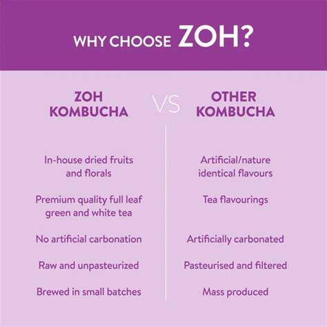 Home Floral Kombucha | Sparkling Probiotic Drink | Zoh India