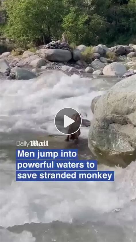 Nest Cafe expanding take-and-bake meal program as SNAP expiration nears ...