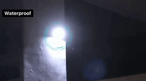 Solar Security LED Night Light for Home Outdoor/Garden Wall (Black) (20 ...