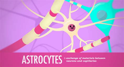 Image result for Crash Course Nervous System