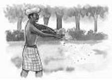 Basva's Farm Worksheet - Class 4 EVS - PDF with Answers CBSE