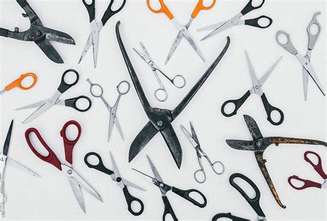 Image result for Scissors Types