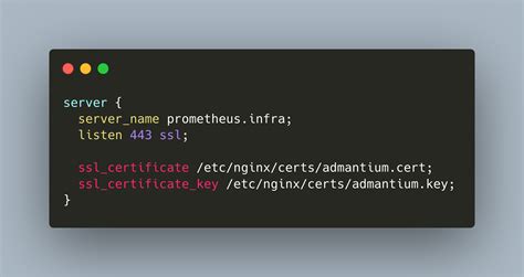 Nginx Reverse Proxy with TLS Encryption | Admantium