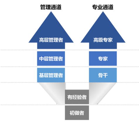 助理工程师到工程师的职业发展路径 - 知乎