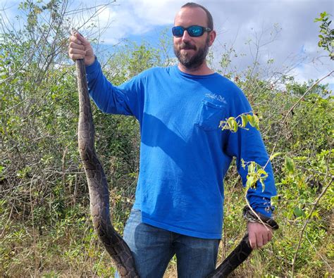 Image result for How Do Python Hunt