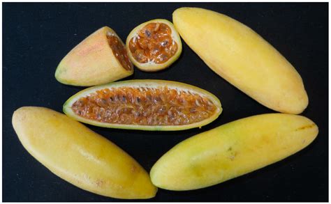 Imagenes De Frutas Passion Fruit