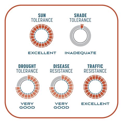 Pennington Smart Patch 10-lbs. Bermuda Lawn Repair Mix in the Lawn ...