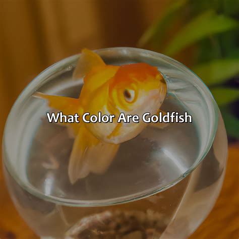 What Color Tube For Tsh - colorscombo.com