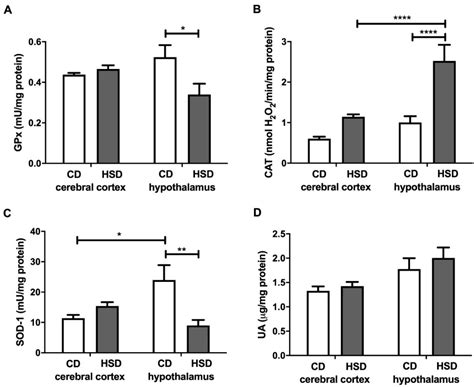 High-Sugar Diet Disrupts Hypothalamic but Not Cerebral Cortex Redox ...