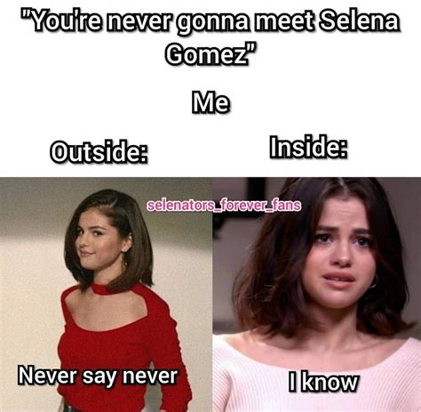 Funny Selena Gomez Meme