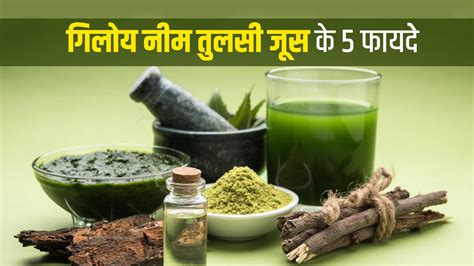 गिलोय नीम तुलसी जूस के फायदे | Giloy Neem Tulsi Juice Benefits In Hindi ...
