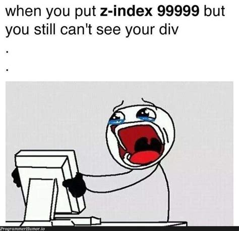 Image result for CSS Developer Meme