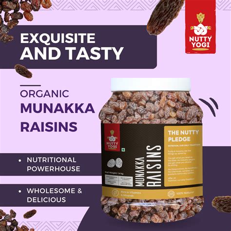 Nutty Yogi Munakka Raisin 1.4kgs Jar| Afghani | Abjos | King Size | (G
