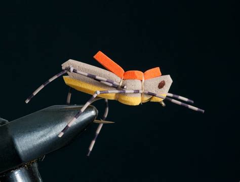 Image result for Morrish Hopper Fly Pattern