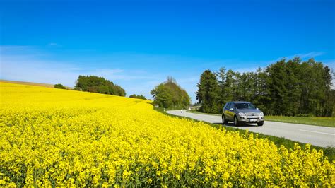 Gear Up for Spring: 9 DIY Car Care Tips | AutoNation Mobile Service