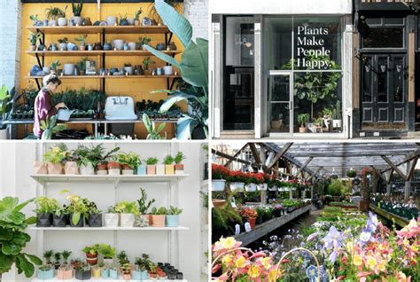 plant store near me