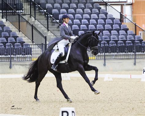 Image result for Tryon Equestrian Center Mill Spring NC