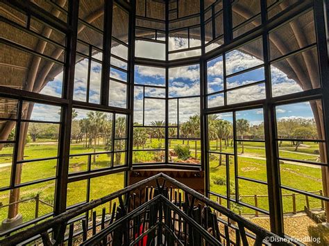 3 EXCLUSIVE Disney Visa Discounts for 2025 | the disney food blog