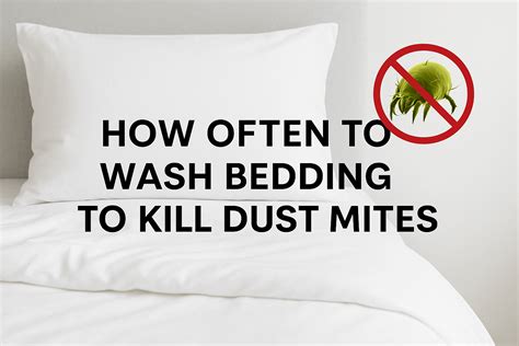 Does Washing Removes Dust Mites And Their Allergens From Your Bedding