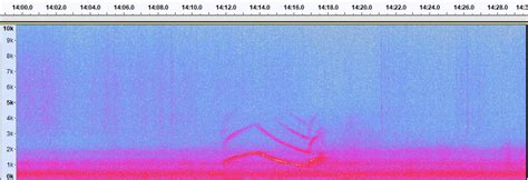 Spectrogram Reader Online PDF 的图像结果