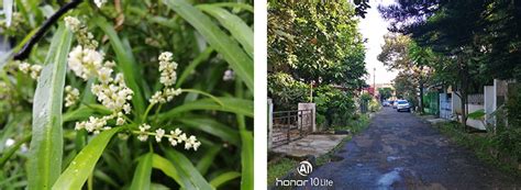 REVIEW HONOR 10 LITE: KELAS MENENGAH RASA HIGH-END