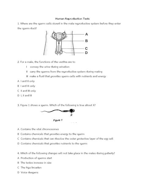 Image result for Reproduction Examination