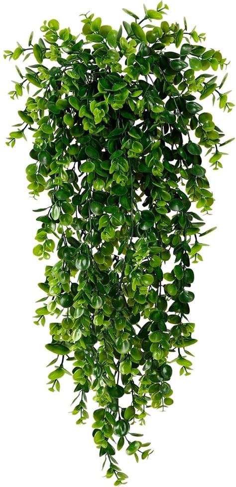 Buy Tdas Artificial Hanging Plants Leaves Eucalyptus Ivy Garlands Plant ...