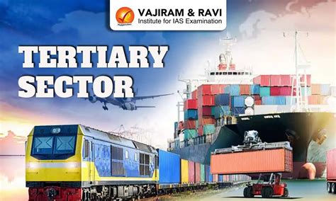 Tertiary Sector in India, Components, Role, Global Aspects