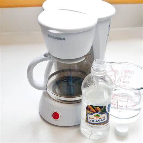 How to Clean a Coffee Pot | POPSUGAR Smart Living