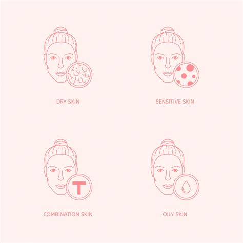 Skin Types 的图像结果