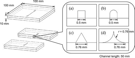 Cross Section Geometry 的图像结果