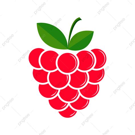 Image result for Raspberry Drawing Vector