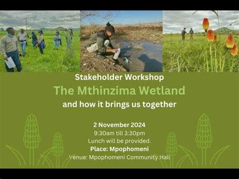 Image result for Mthinzima Stream