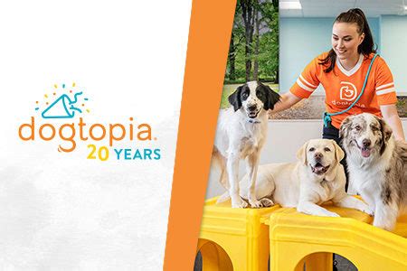 Image result for How to Download Dogtopia Java