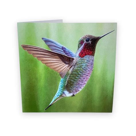 Image result for Hummingbird Card