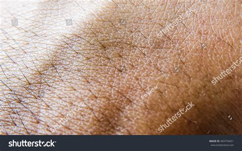 Hand Skin Texture Stock Photo 469754651 | Shutterstock