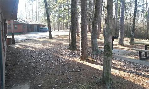 CROWLEY RIDGE STATE PARK (2024) All You Need to Know BEFORE You Go ...