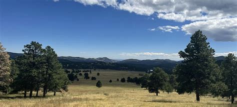 Elk Meadow, Colorado - 1,321 Reviews, Map | AllTrails