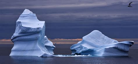 Two Arctic Ice Caps Have Vanished, NASA Data Shows Global Warming ...