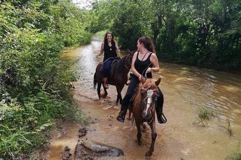 2026 Viñales horse tour (with Reviews)