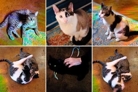 Your Complete Day Trip Guide to Concord, North Carolina