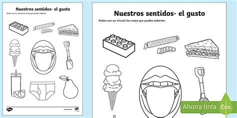 Ficha de actividad: Nuestros sentidos - el gusto