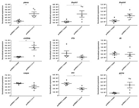Zebrafish pten Genes Play Relevant but Distinct Roles in Antiviral Immunity